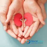 Kidney function